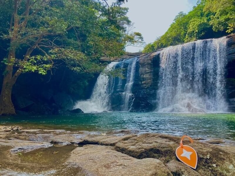 Peradeniya Botanical Garden Sri Lanka